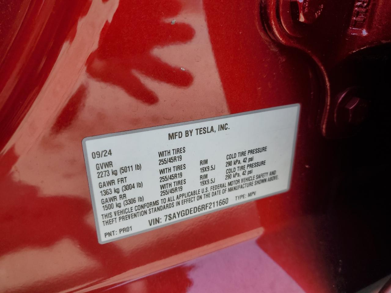 2024 Tesla Model Y VIN: 7SAYGDED6RF211660 Lot: 62097325