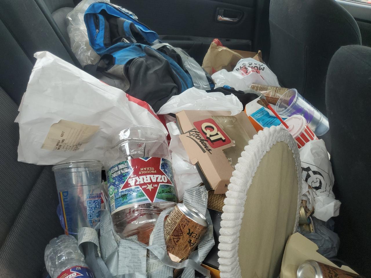 2009 Mazda 3 I VIN: JM1BK32F291190929 Lot: 54018695