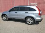 2008 Honda Cr-V Ex للبيع في London، ON - Minor Dent/Scratches