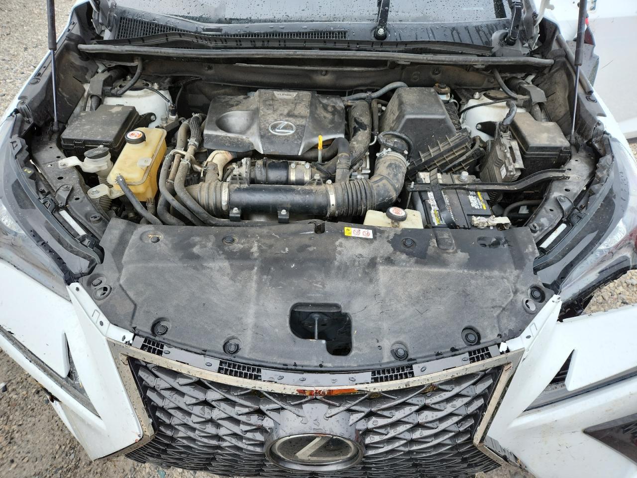 2019 Lexus Nx 300 Base VIN: JTJYARBZ1K2135279 Lot: 61003335