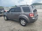 2010 Ford Escape Xlt for Sale in Lawrenceburg, KY - Front End