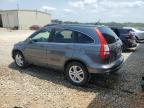 Tanner, AL에서 판매 중인 2011 Honda Cr-V Exl - Rear End