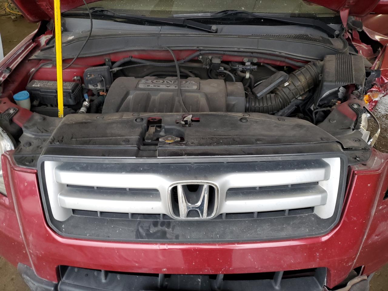 2006 Honda Pilot Ex VIN: 5FNYF18706B022888 Lot: 62461335