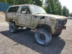 1983 Ford Bronco U100 for Sale in Graham, WA - Front End