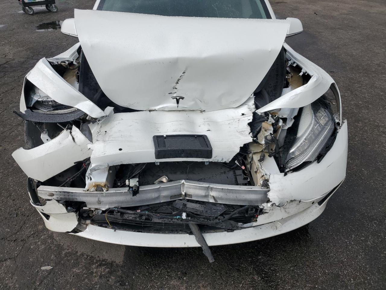 2020 Tesla Model 3 VIN: 5YJ3E1EA6LF614577 Lot: 59564905