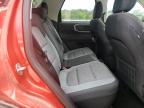 2023 Ford Bronco Sport Big Bend for Sale in Rogersville, MO - Hail