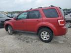 2012 Ford Escape Limited на продаже в Cahokia Heights, IL - Front End