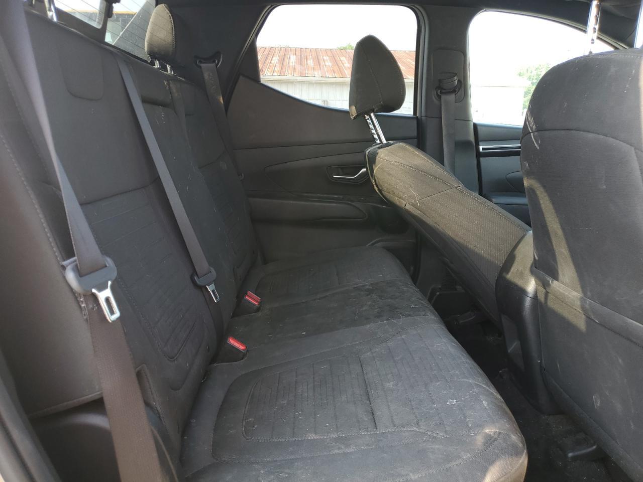 2023 Hyundai Santa Cruz Sel VIN: 5NTJCDAE8PH050060 Lot: 60205505