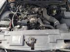 2004 Ford Crown Victoria Lx продається в Jacksonville, FL - Front End