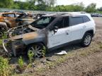 2017 Jeep Cherokee Limited for Sale in Pekin, IL - Burn - Engine