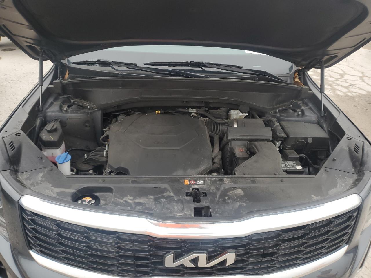 2022 Kia Telluride S VIN: 5XYP6DHC6NG297893 Lot: 59776445