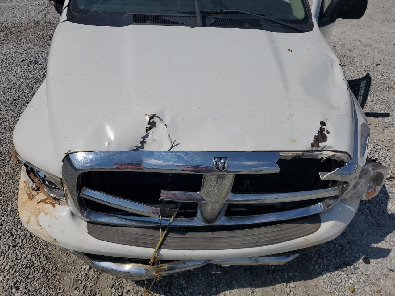 2005 Dodge Ram 1500 St VIN: 1D7HU16N65J569586 Lot: 62206595