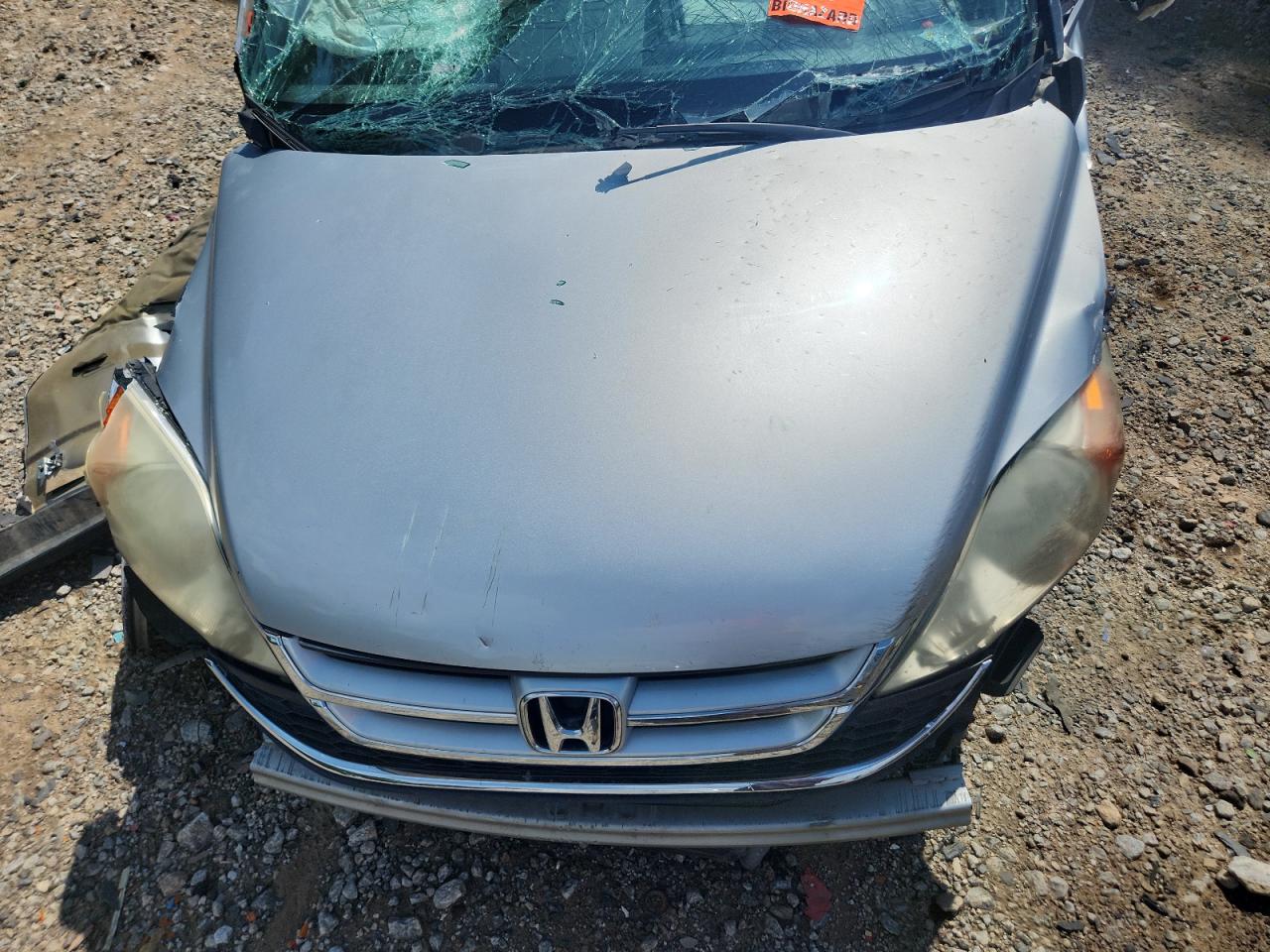 2010 Honda Cr-V Exl VIN: 5J6RE3H73AL046007 Lot: 60028355