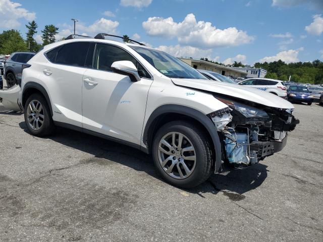 Parquets LEXUS NX 2016 Biały