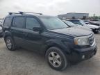 2011 Honda Pilot Ex იყიდება Leroy-ში, NY - Normal Wear