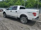 2012 Ford F150 Supercrew for Sale in Hurricane, WV - Hail