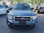 2010 Ford Escape Xlt for Sale in Arlington, WA - Front End