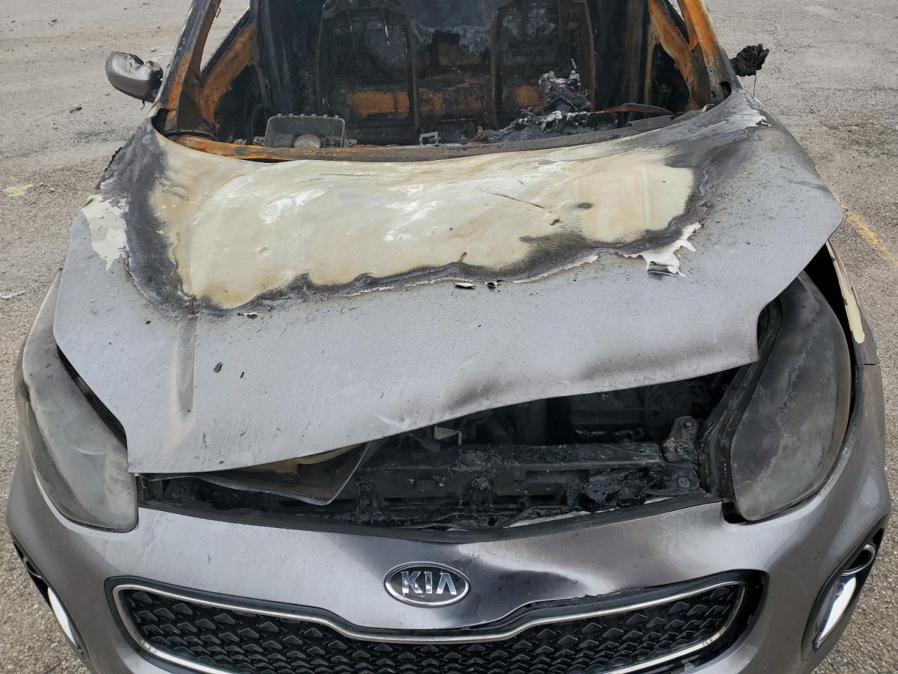 2019 Kia Sportage Lx VIN: KNDPMCAC1K7550198 Lot: 58854155