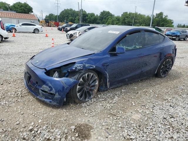  TESLA MODEL Y 2023 Синий