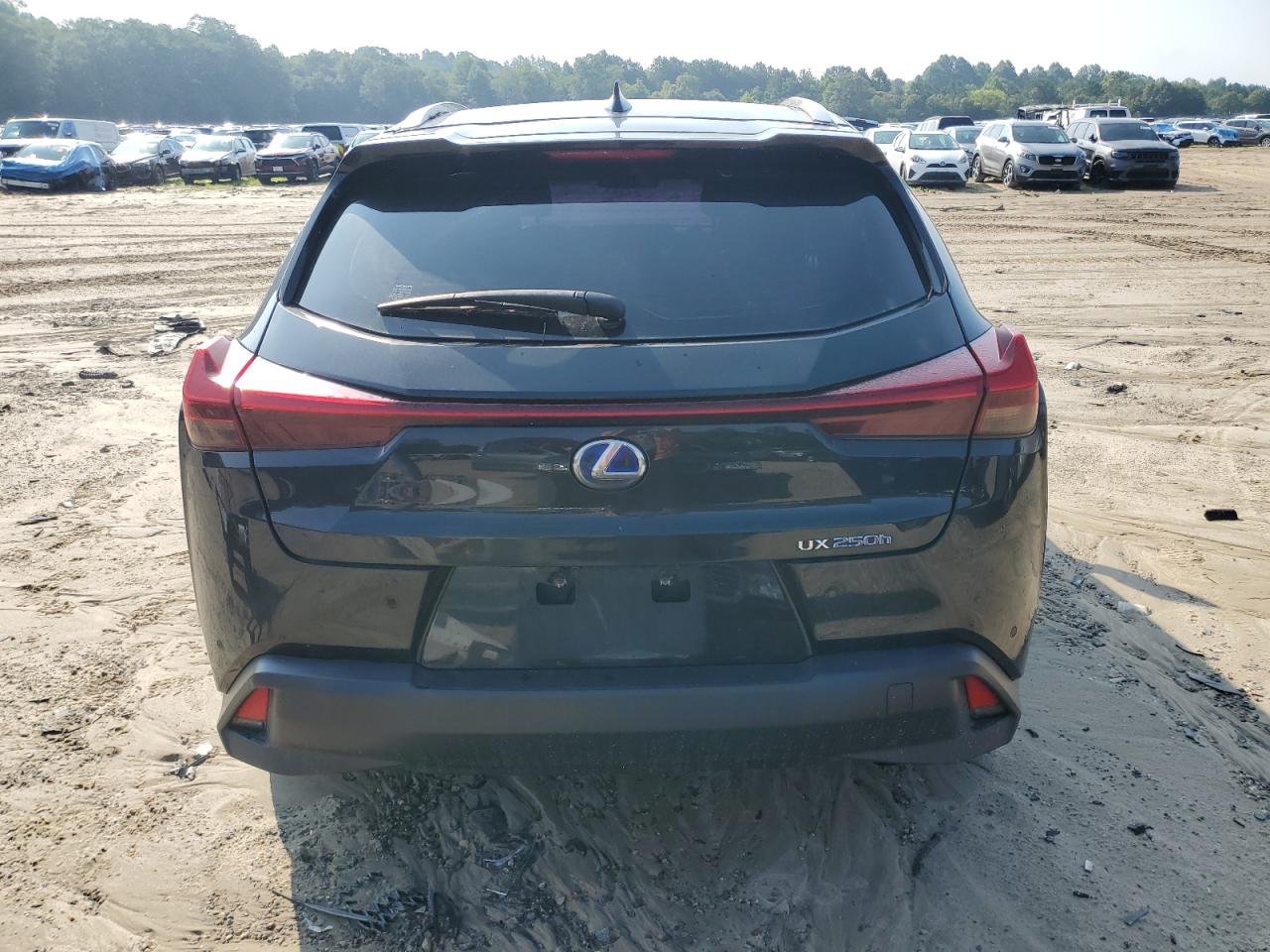 2019 Lexus Ux 250H VIN: JTHU9JBH3K2013895 Lot: 60231185