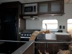 2019 Foresriver Grey Wolf for Sale in Lansing, MI - Side