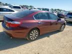 2013 Honda Accord Exl en Venta en San Antonio, TX - Mechanical