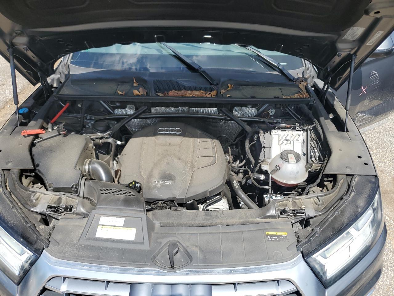 2019 Audi Q5 Premium Plus VIN: WA1BNAFY1K2079497 Lot: 62562845