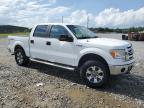Tifton, GA에서 판매 중인 2011 Ford F150 Supercrew - Normal Wear