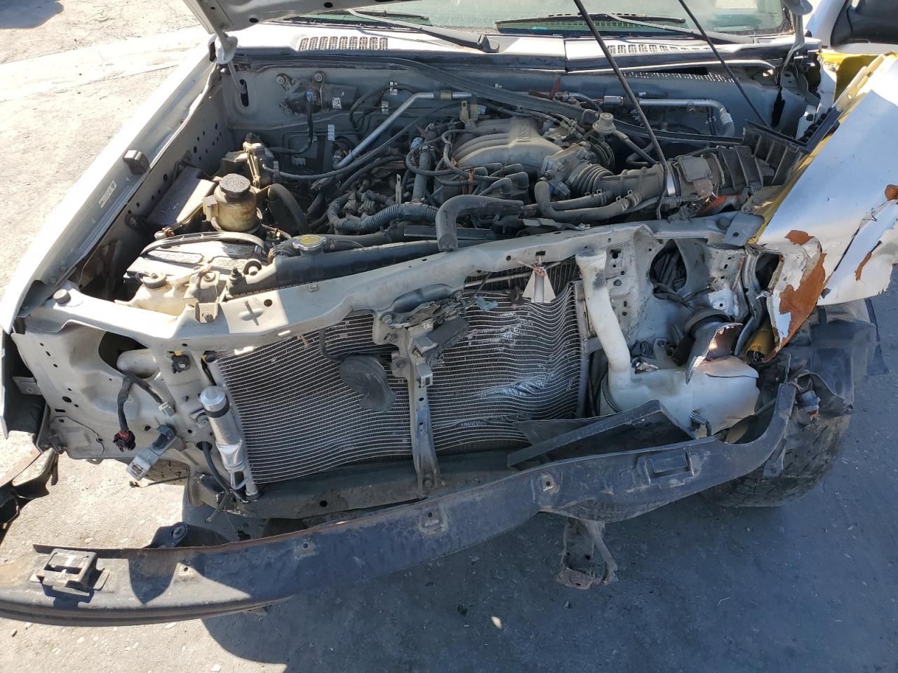2004 Nissan Xterra Xe VIN: 5N1ED28T24C668127 Lot: 60123775