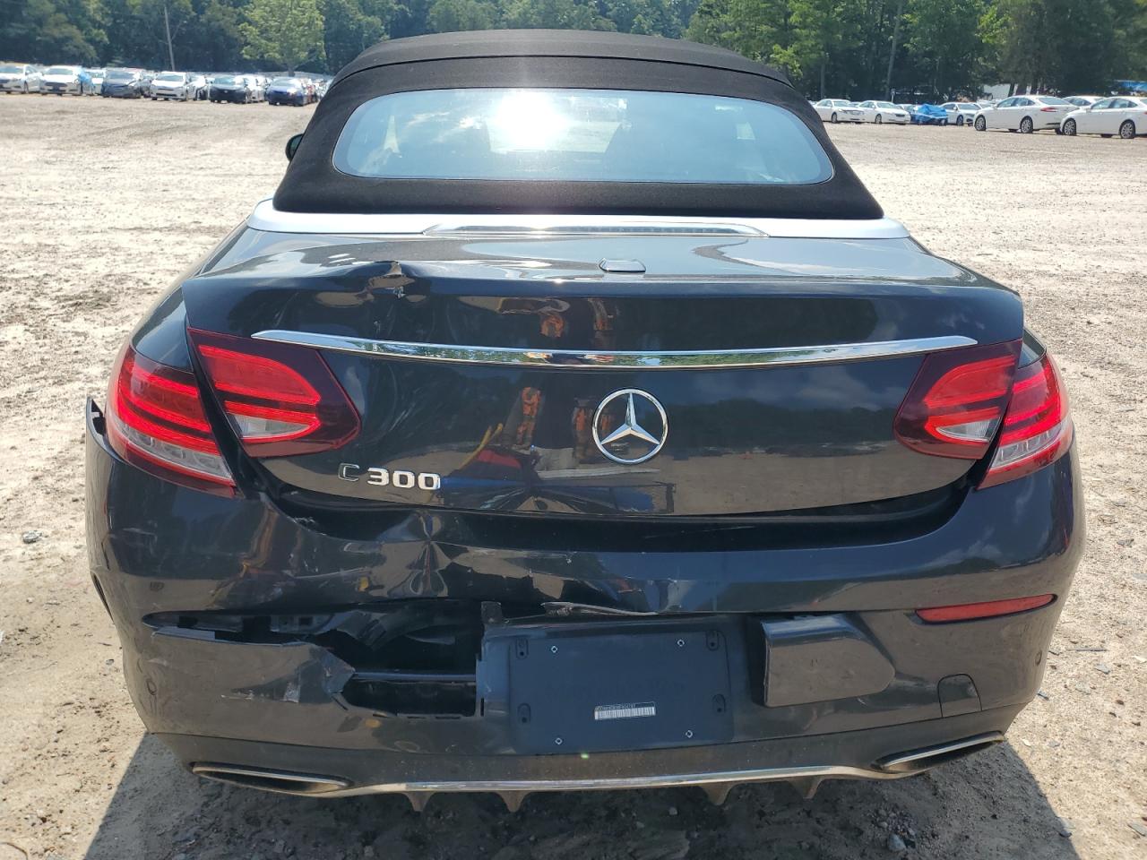2019 Mercedes-Benz C 300 VIN: WDDWK8DB5KF804797 Lot: 62703885