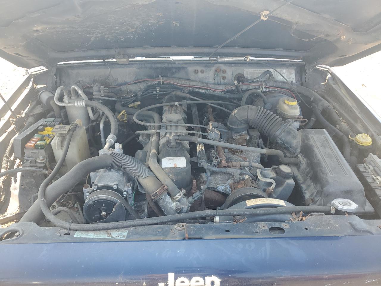 1998 Jeep Cherokee Sport VIN: 1J4FF48S81L556119 Lot: 59407705