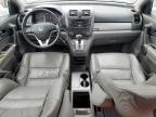 Arcadia, FL에서 판매 중인 2010 Honda Cr-V Exl - Front End
