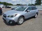 2019 Subaru Outback 2.5I Premium   en Venta en Ham Lake, MN - Hail