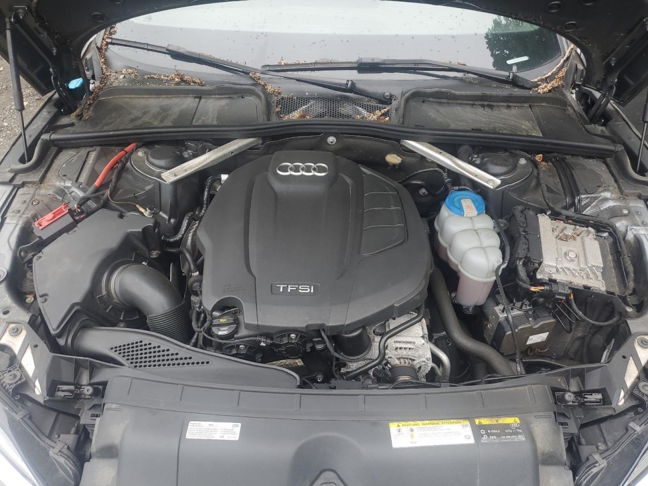 2018 Audi A5 Premium Plus VIN: WAUBNCF54JA088946 Lot: 62115445