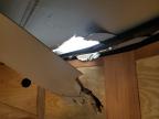 2025 Nationcraft Enclosed Cargo Trailer იყიდება Montgomery-ში, AL - Top/Roof