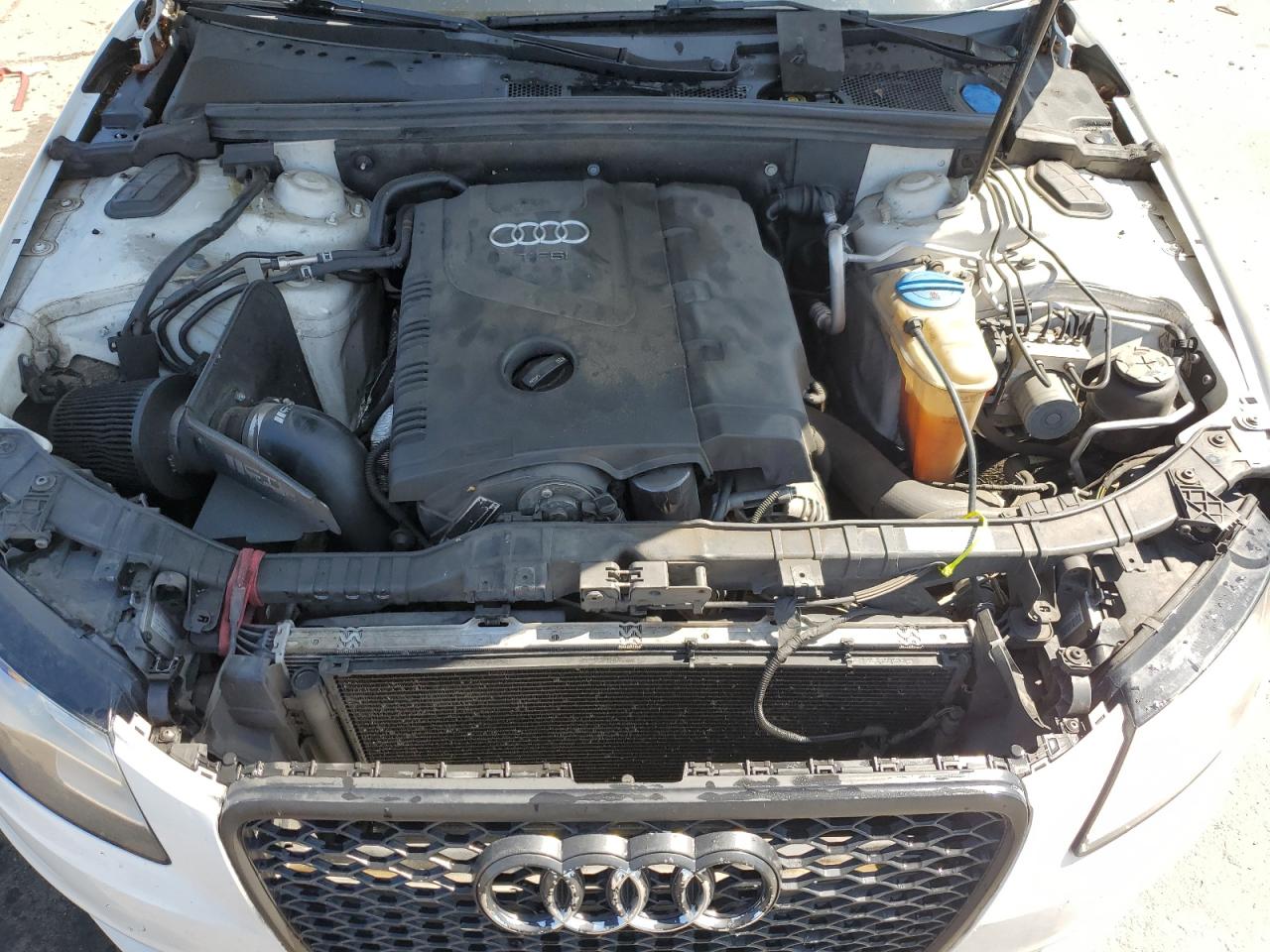 2011 Audi A4 Premium Plus VIN: WAUFFAFL2BN011486 Lot: 62715935