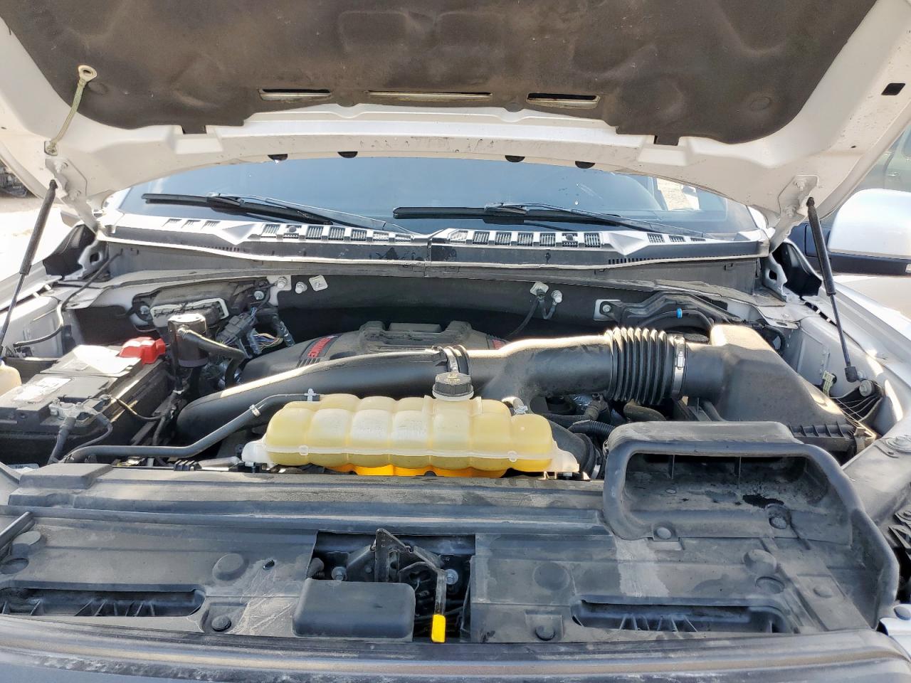 2019 Ford F150 Raptor VIN: 1FTFW1RG6KFD00219 Lot: 54478875