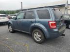 2011 Ford Escape Xlt продається в Grantville, PA - Normal Wear