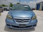 2006 Honda Odyssey Exl للبيع في Haslet، TX - Minor Dent/Scratches