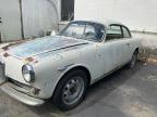 1959 ALFA ROMEO GIULIA SPR   à vendre chez Copart MA - SOUTH BOSTON