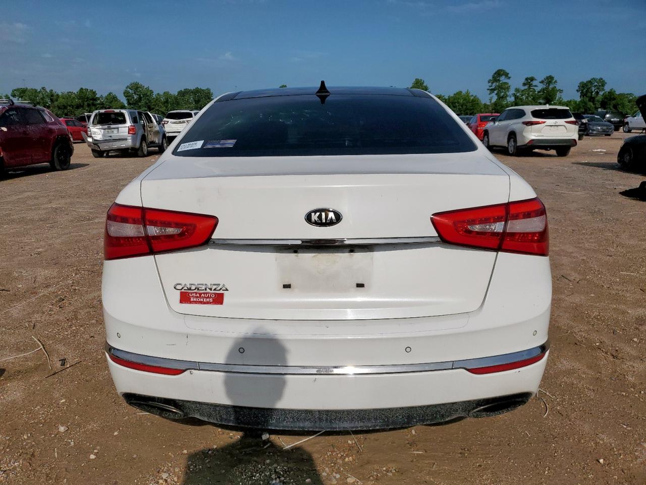 2014 Kia Cadenza Premium VIN: KNALN4D79E5136406 Lot: 60687465