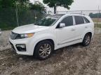 2013 Kia Sorento Sx იყიდება Cicero-ში, IN - Minor Dent/Scratches