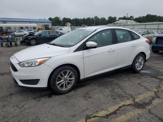  FORD FOCUS 2015 White