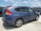 2013 Honda Cr-V Exl на продаже в West Palm Beach, FL - All Over