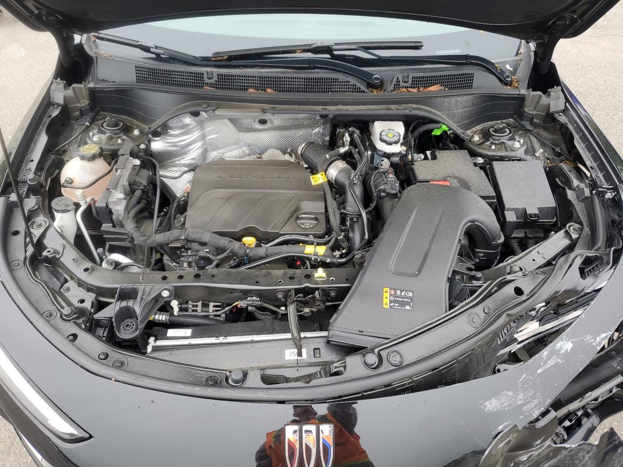 2024 Buick Envista Sport Touring VIN: KL47LBE23RB101587 Lot: 59716485