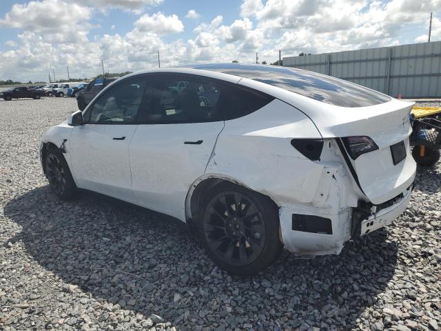  TESLA MODEL Y 2021 White