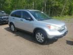 2009 HONDA CR-V EX   à vendre chez Copart ON - COOKSTOWN