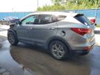 2014 HYUNDAI SANTA FE SPORT    for sale at Copart NB - MONCTON