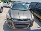 San Antonio, TX에서 판매 중인 2013 Ford Escape Se   - Front End