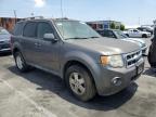 2011 Ford Escape Xlt na sprzedaż w Wilmington, CA - Minor Dent/Scratches